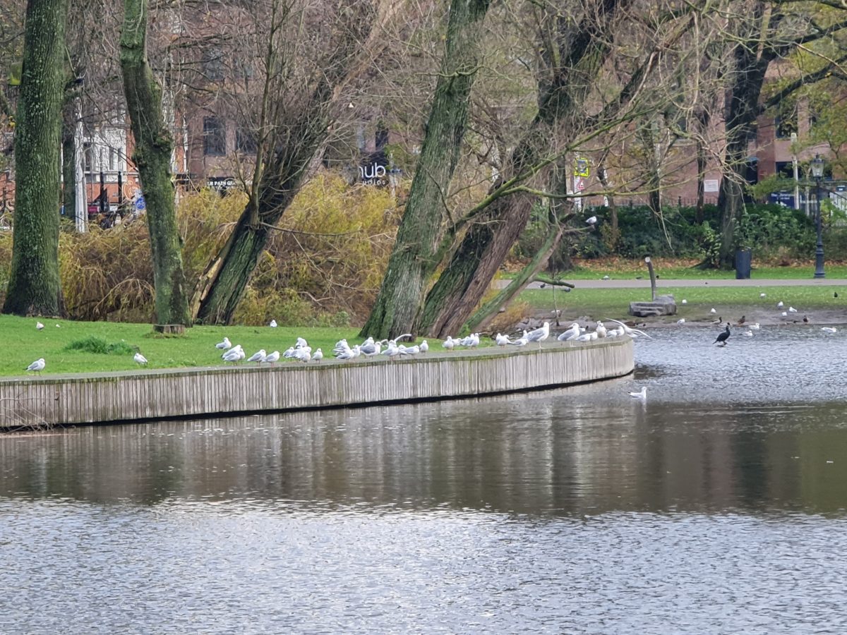 Oosterpark Amsterdam